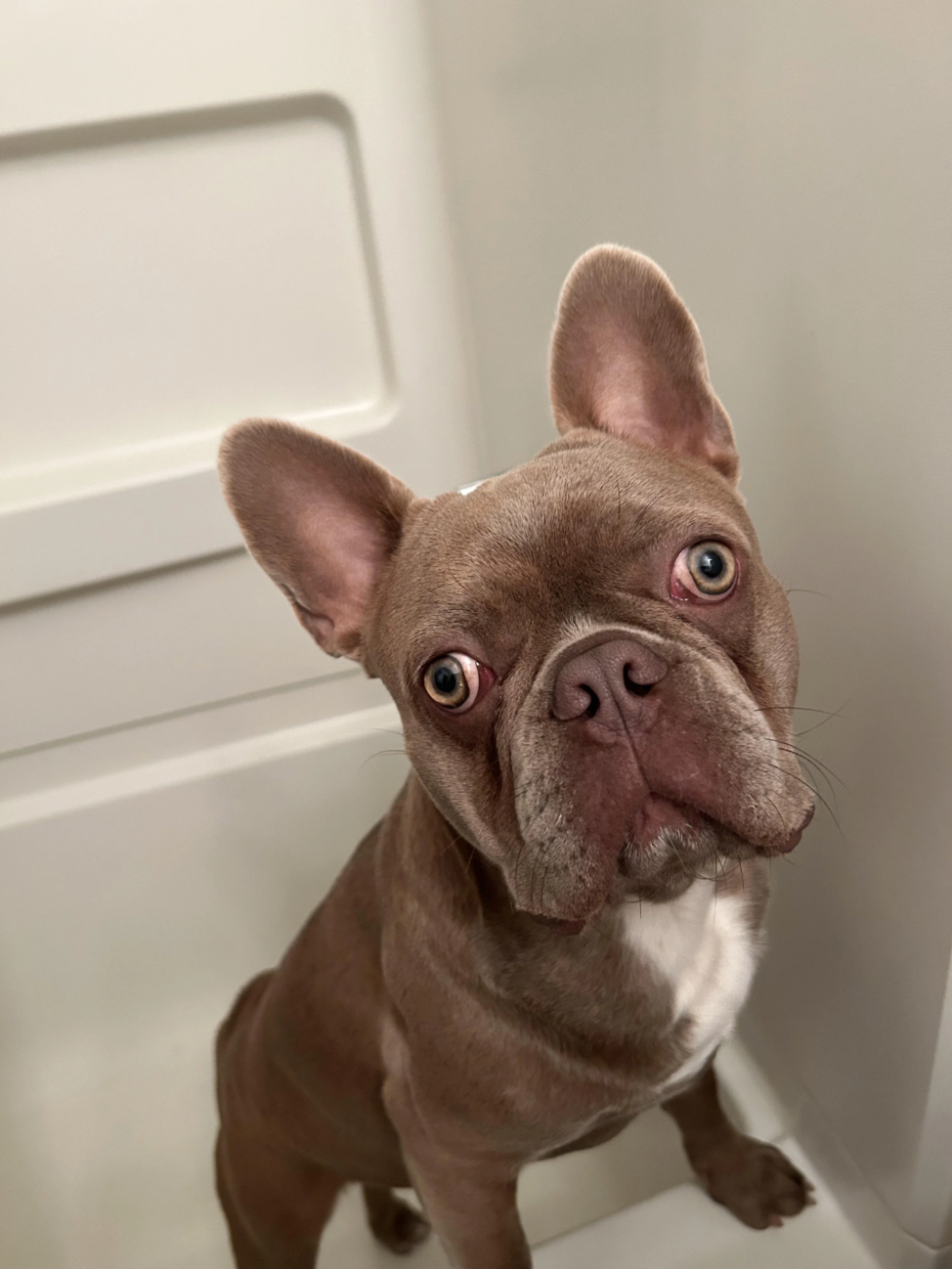 u/Lt_Cheesewinkle’s Fatty McGee