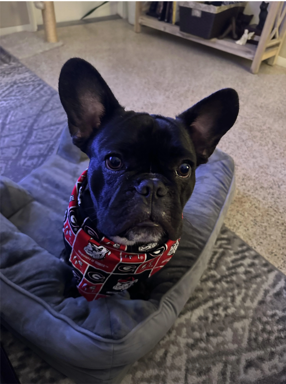 u/SureArtichoke666’ Lil P aka Perry