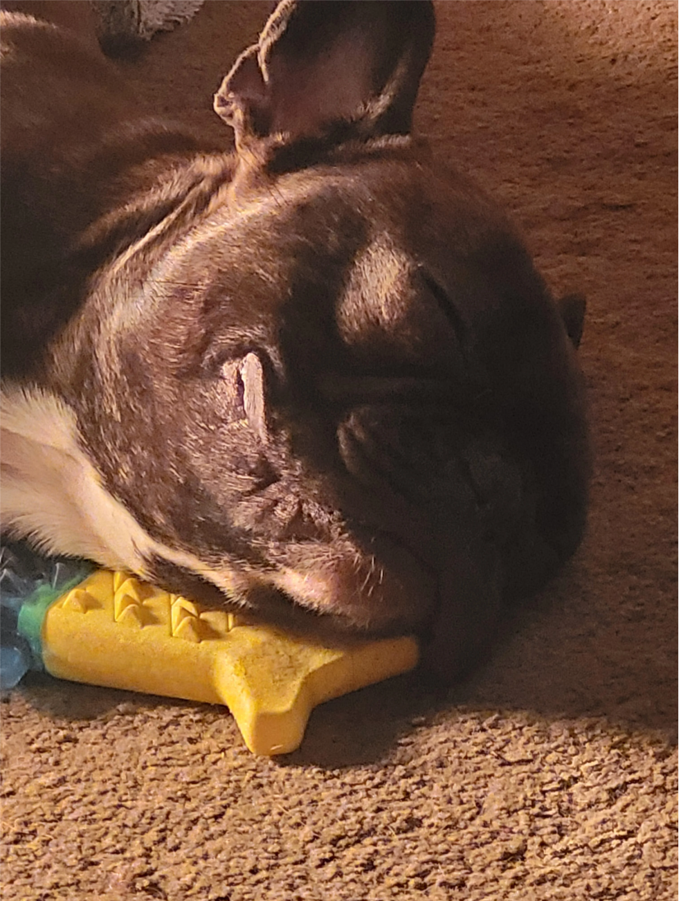 u/waste-organization39â Loki