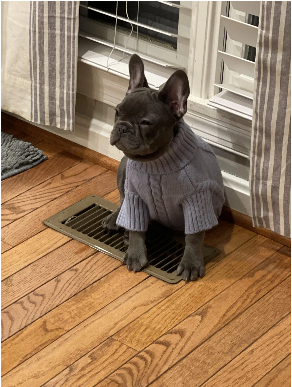 u/deleted’s Sassy Pootie Tootie