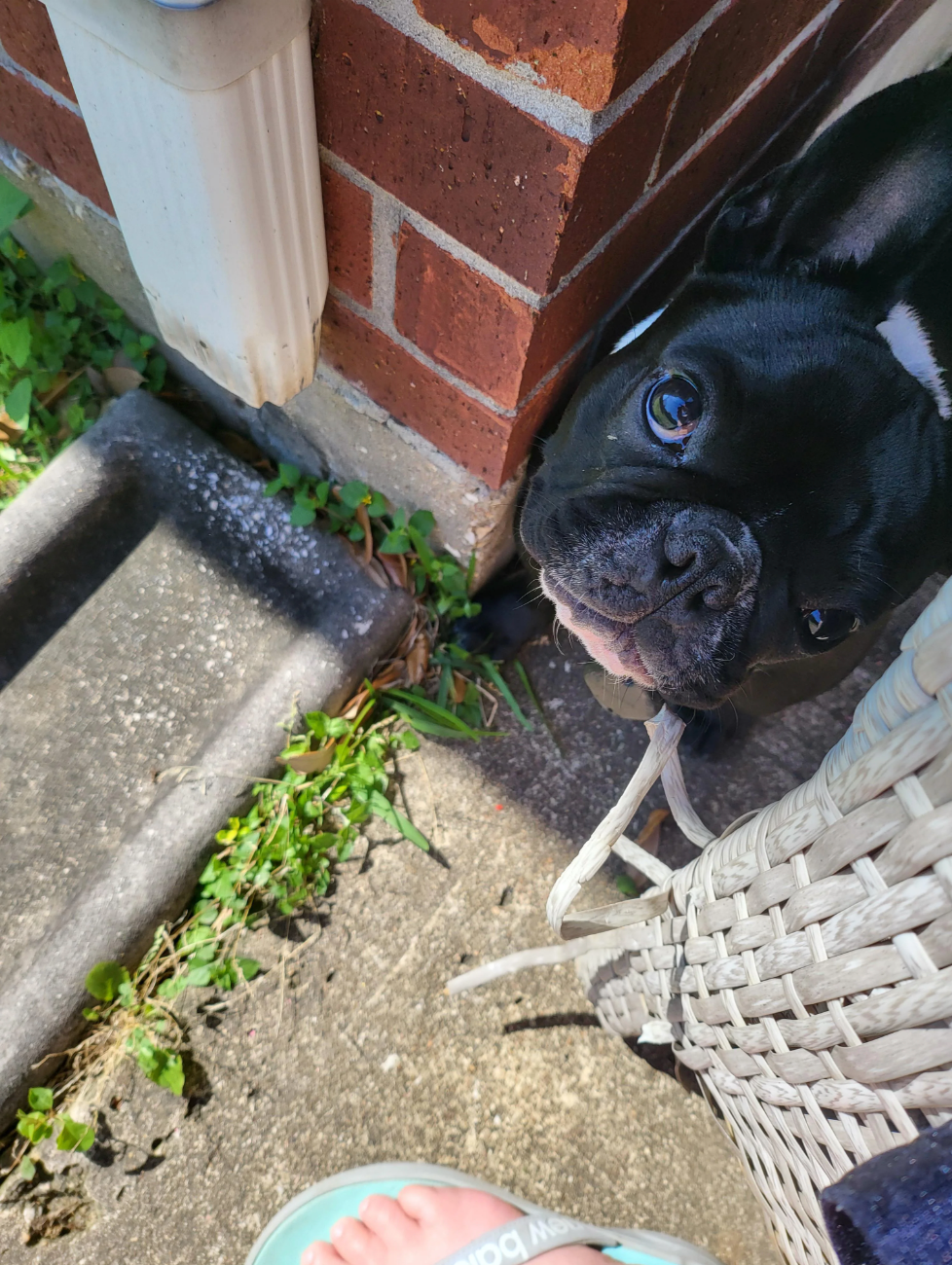 u/pryingtunaâ Dobby