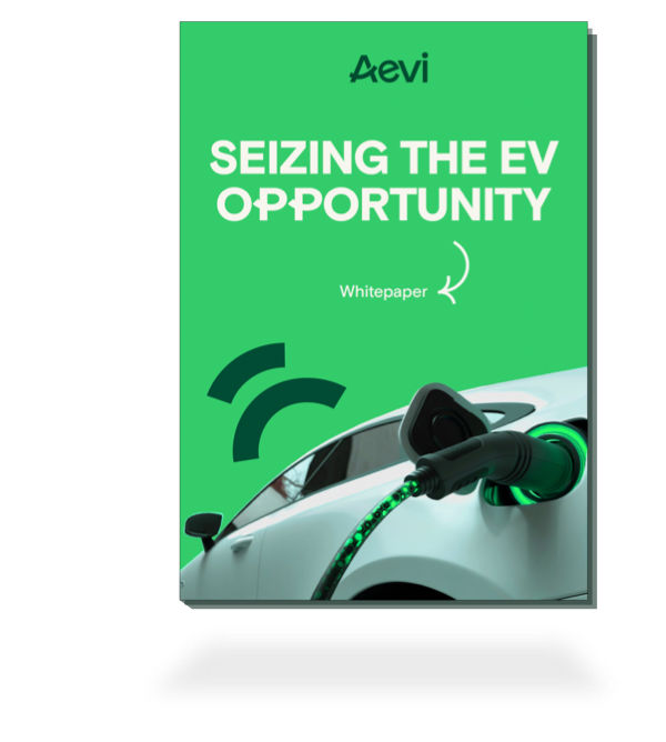 Whitepaper: Seizing the EV opportunities