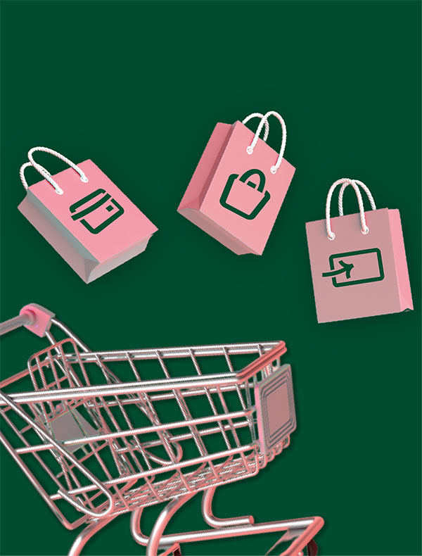 Buy Now Pay Later, Shopping Card, Shopping Bags