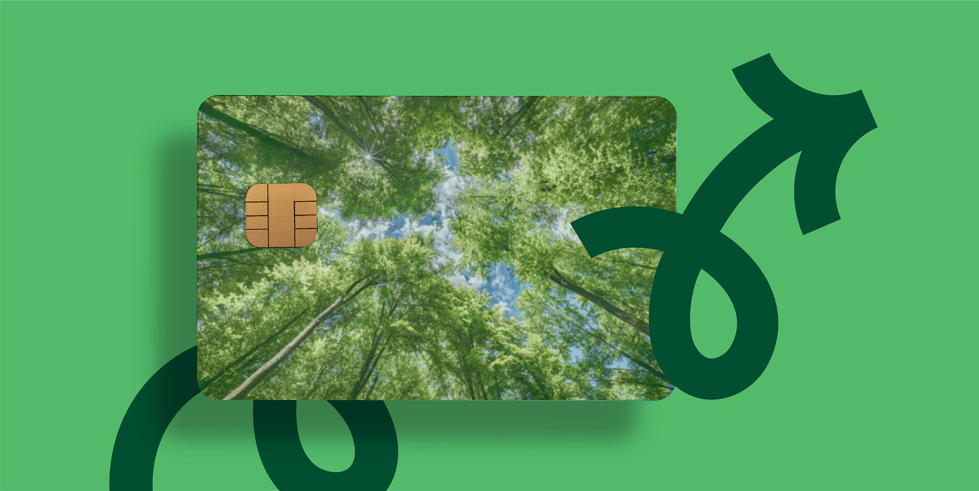 payments, go green, sustainibility