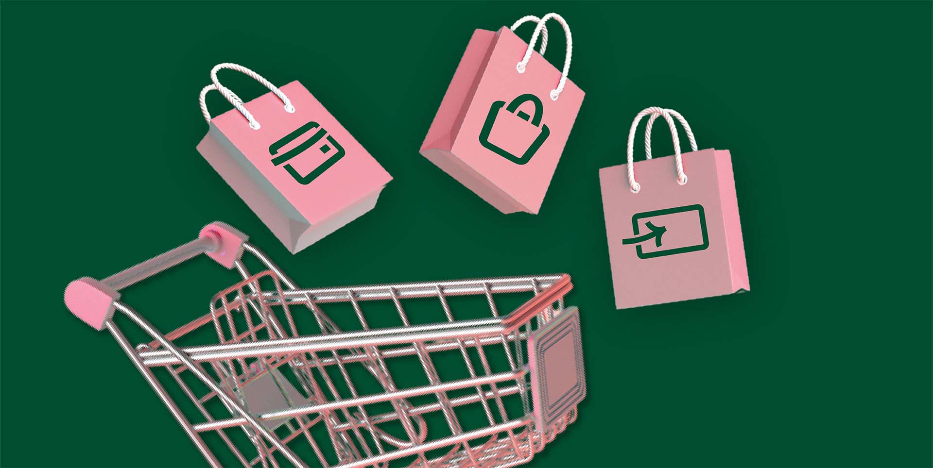 Buy Now Pay Later, Shopping Card, Shopping Bags