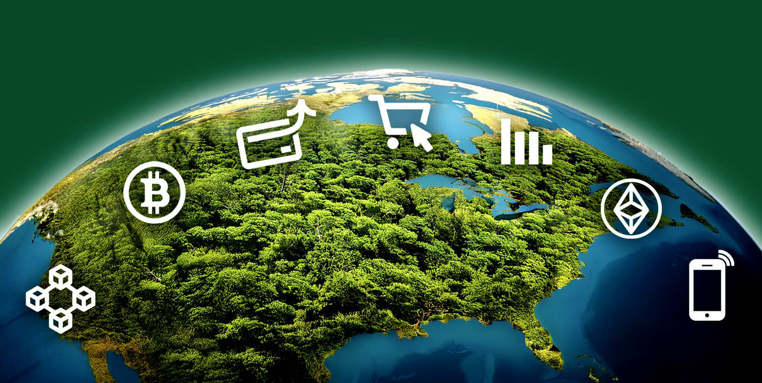 How PSPs survive in the jungle of payment solutions