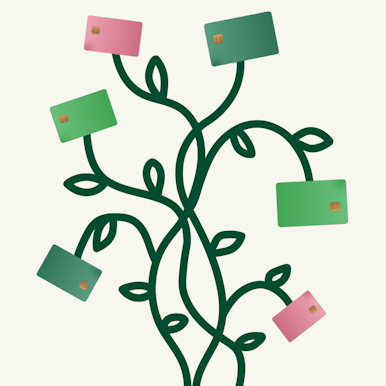 a plant with credit cards as flowers