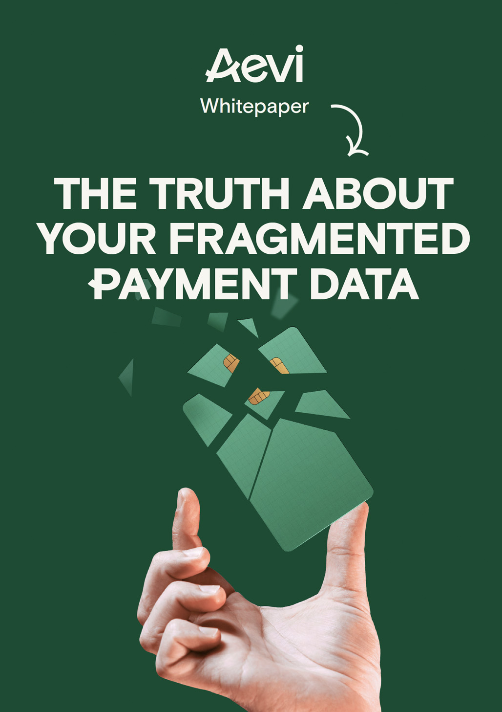 Whitepaper: The Truth about Fragmented Payment Data