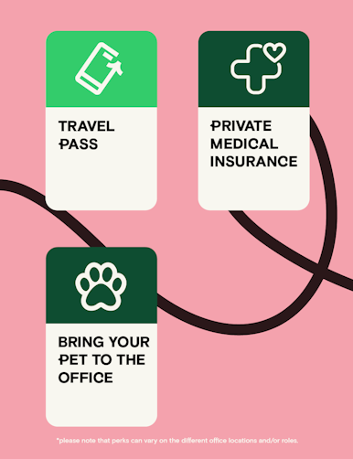 benefits include travel pass, private medical insurance and bring your pet to the office
