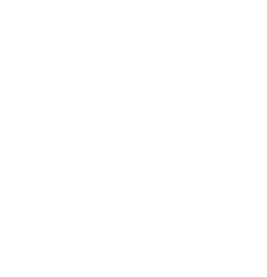 Liebertz Plastic Surgery logo