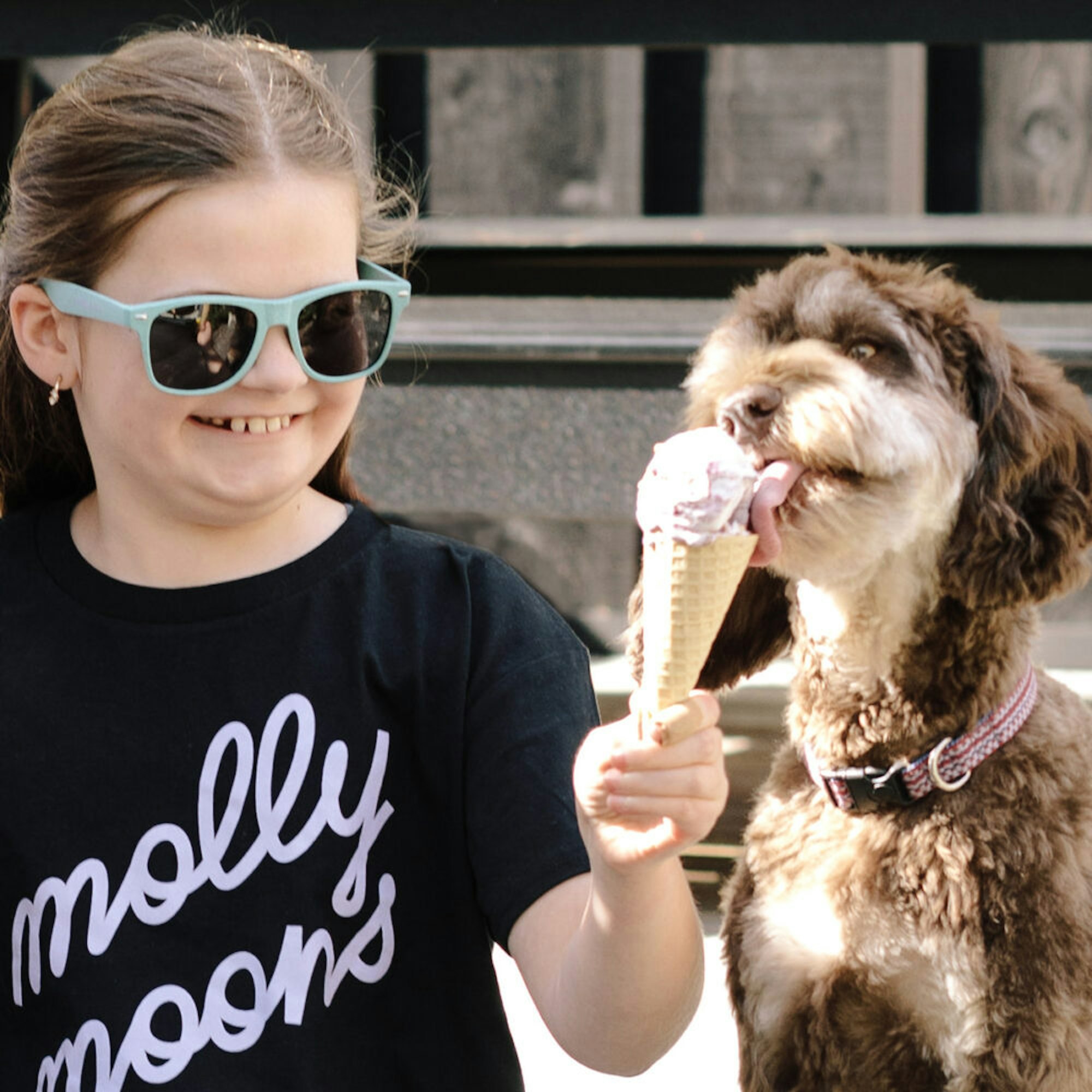 Molly Moon Raspberry Chip pup cups at molly moon's! — Molly Moon's Ice Cream