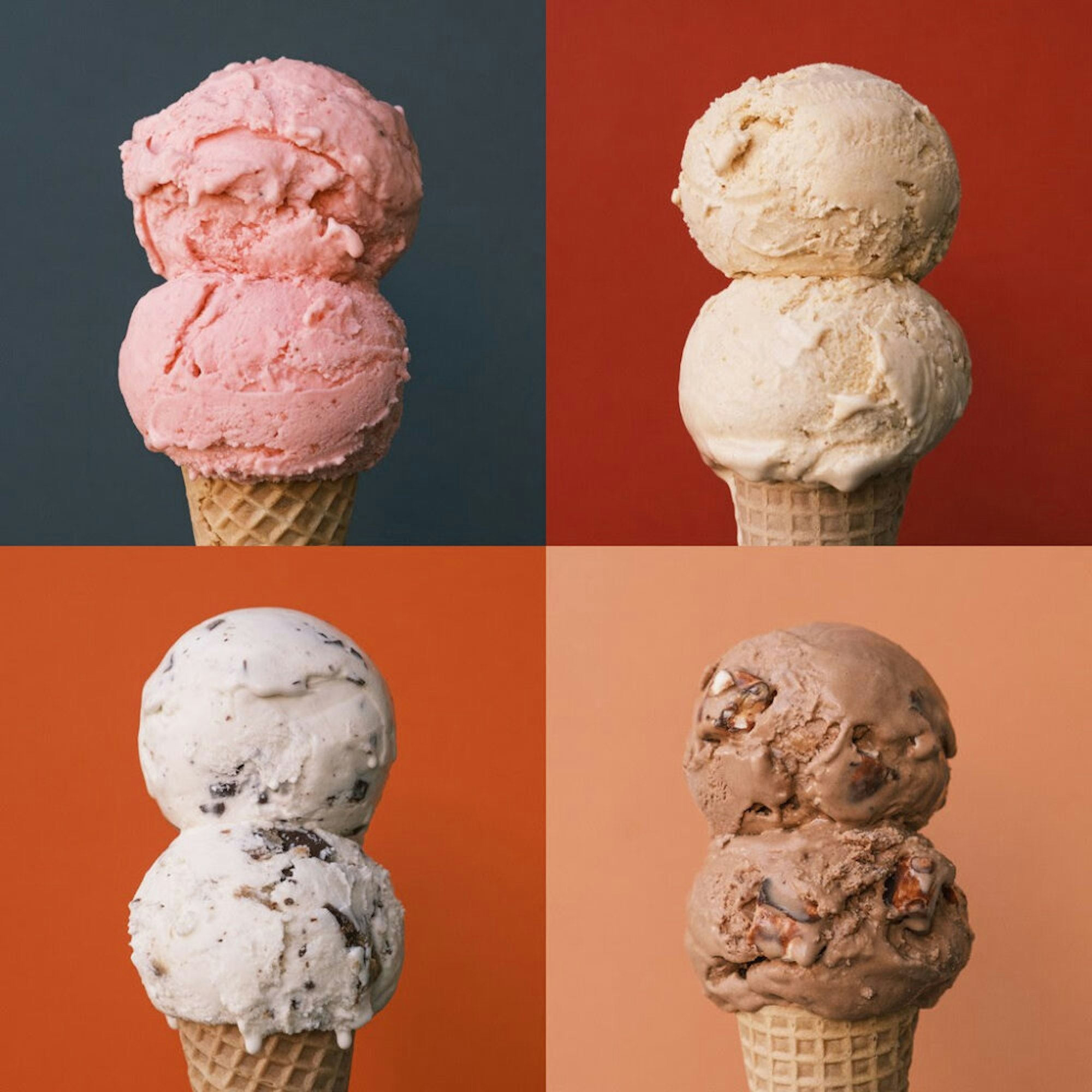 Molly Moon Raspberry Chip October Seasonals! — Molly Moon's Ice Cream