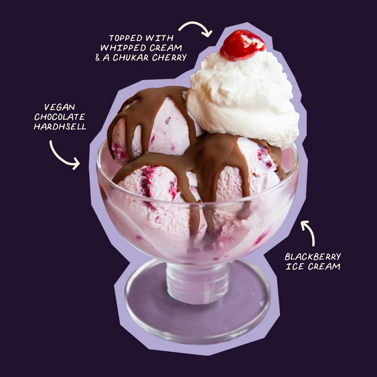 blackberry chocolate drizzle sundae!