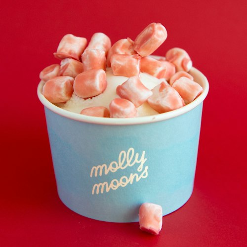 Molly Moon Raspberry Chip new summer toppings! — Molly Moon's Ice Cream