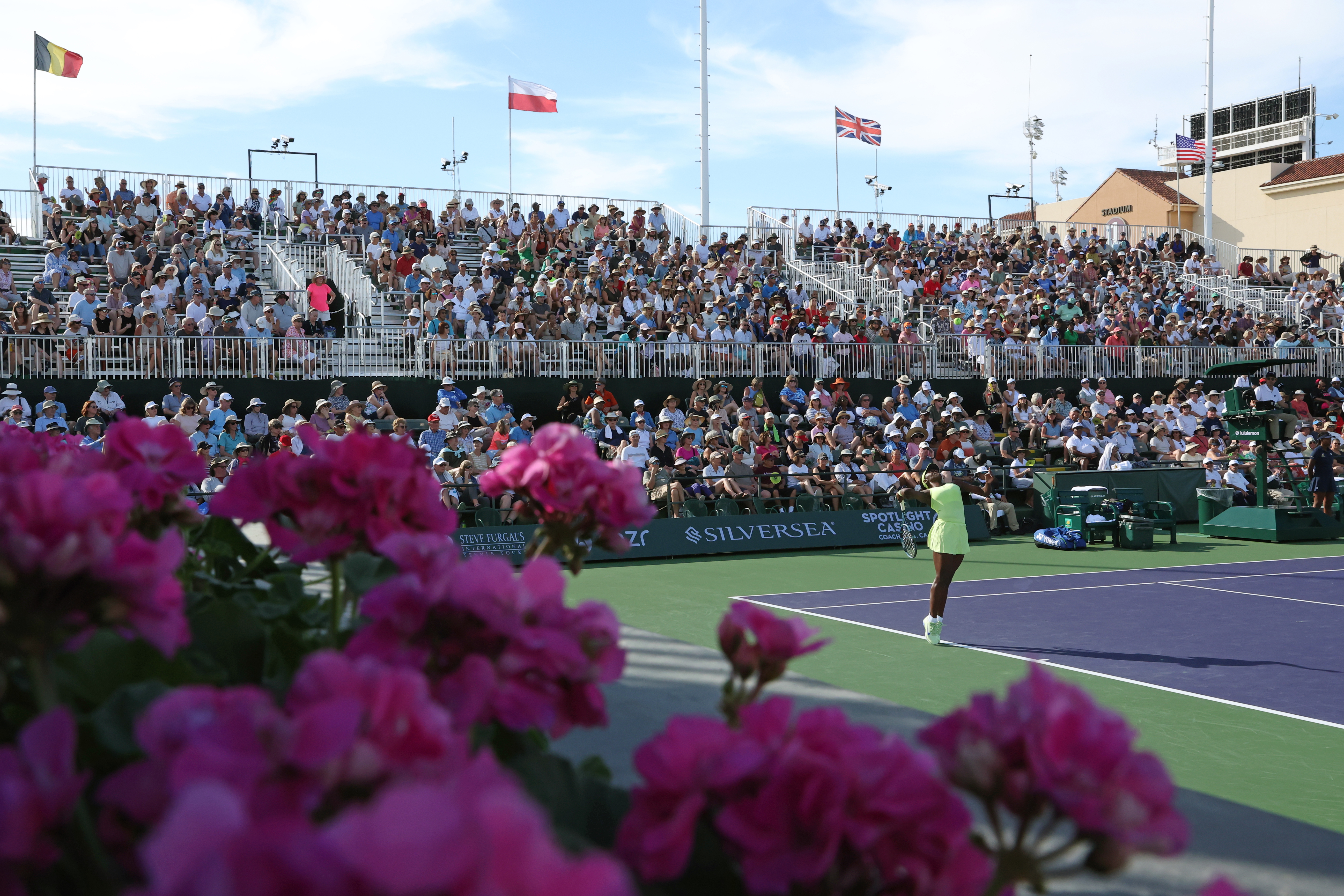 The tournament in full bloom.