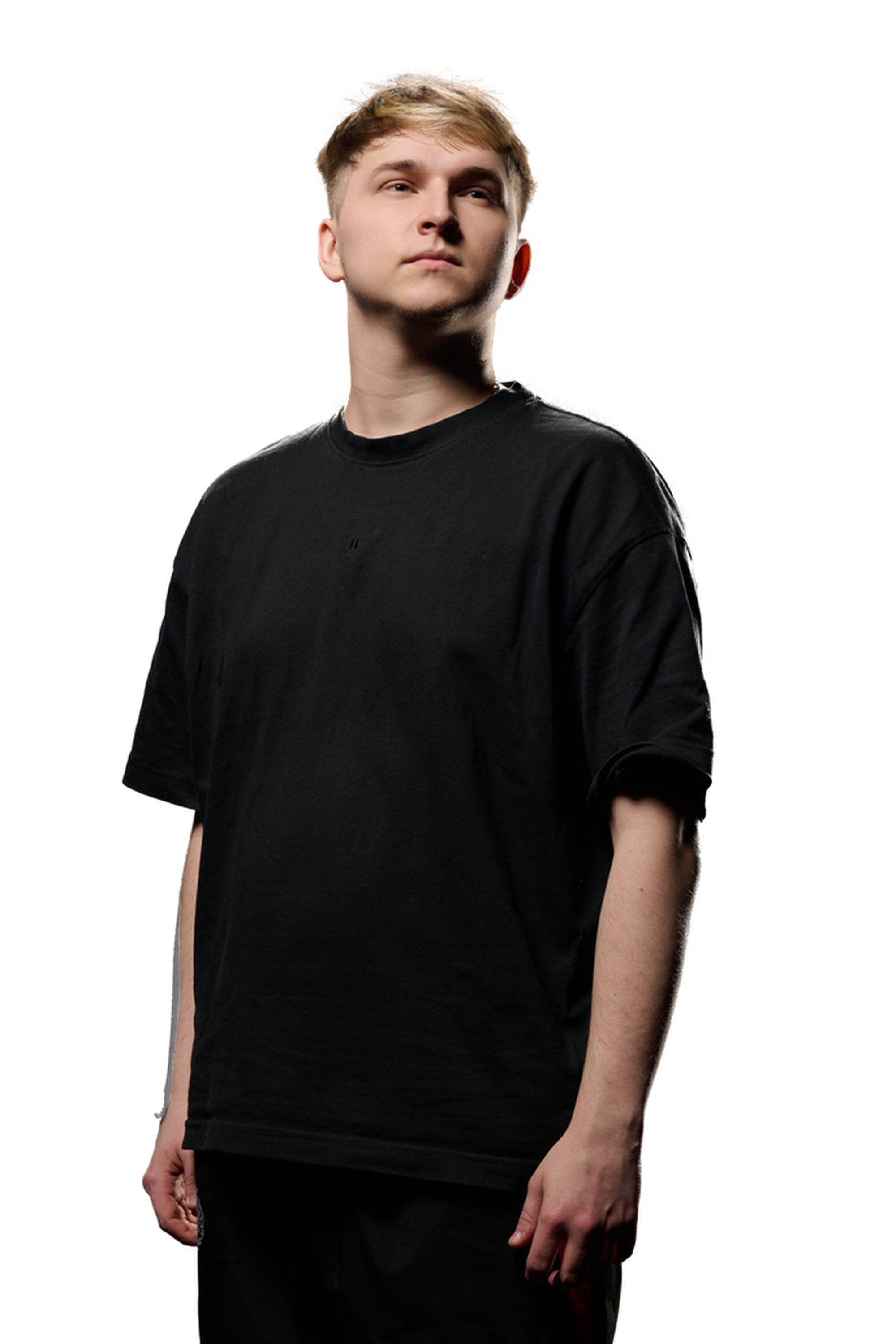 Picture without description