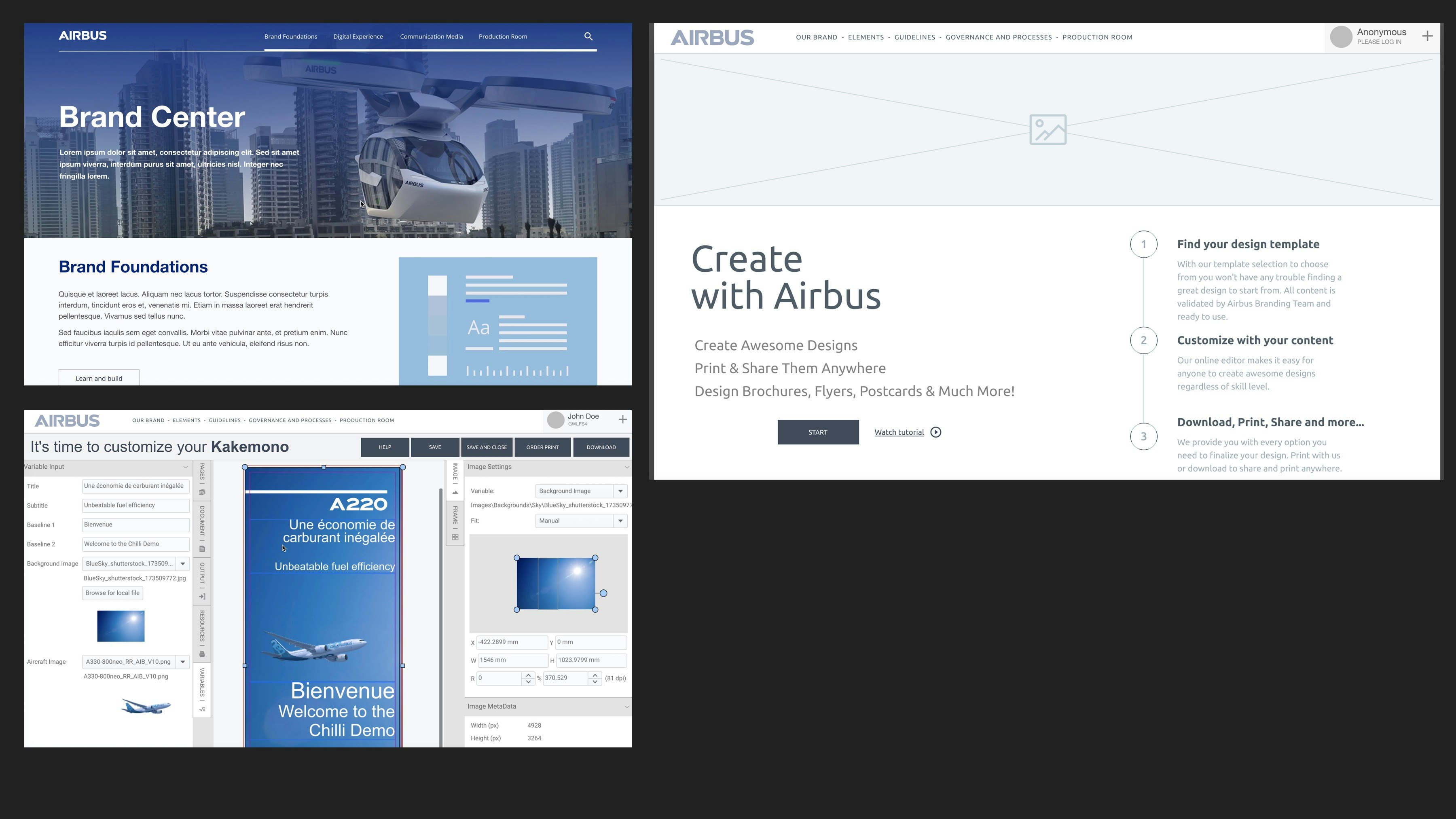 Screenshot of the brand portal from Airbus