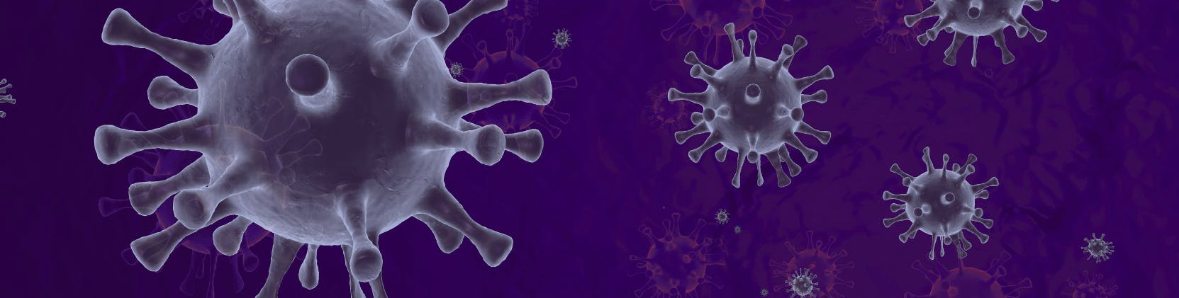 Illustration of multiple virus particles resembling the coronavirus, depicted in a 3D-rendered style against a dark purple background. The image conveys a scientific or medical theme related to infectious diseases or virology.        Ask ChatGPT