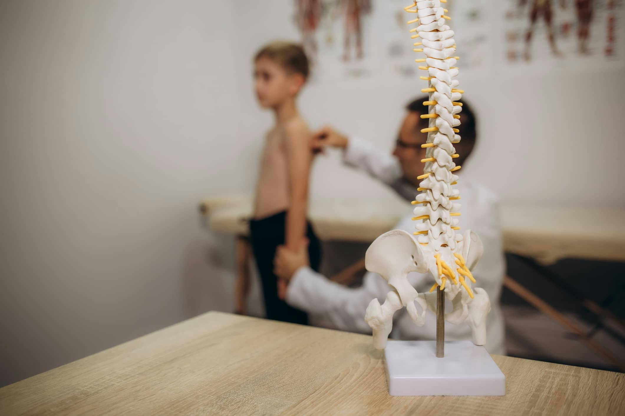 Doctor examining child patient spine