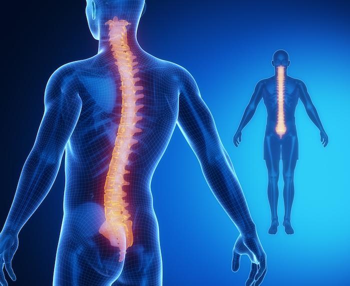 健康・医学 Imaging Painful Spine Disorders // 2011 Spinal Cord Medicine | Springer Publishing Company