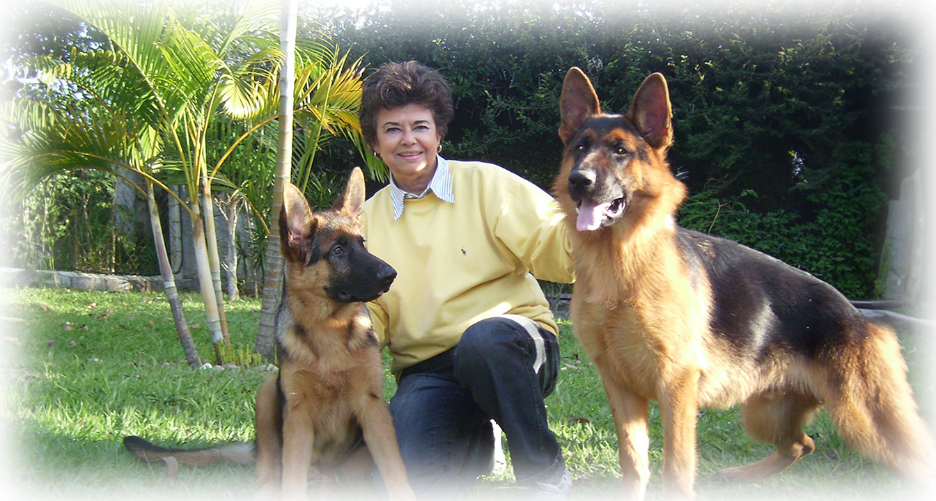 Criadora de cães e dois cães pastores alemães