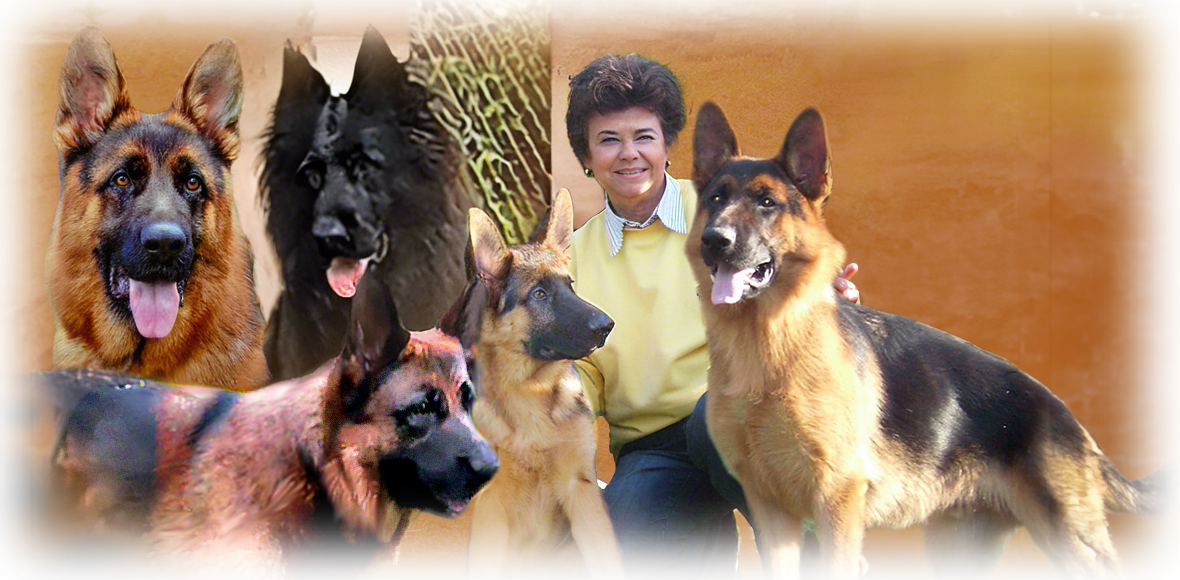 Montagem de criadora de cães e pastores alemães