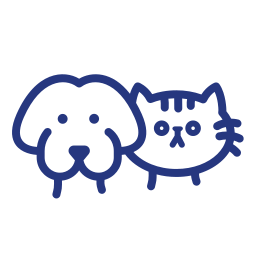 chat et chien