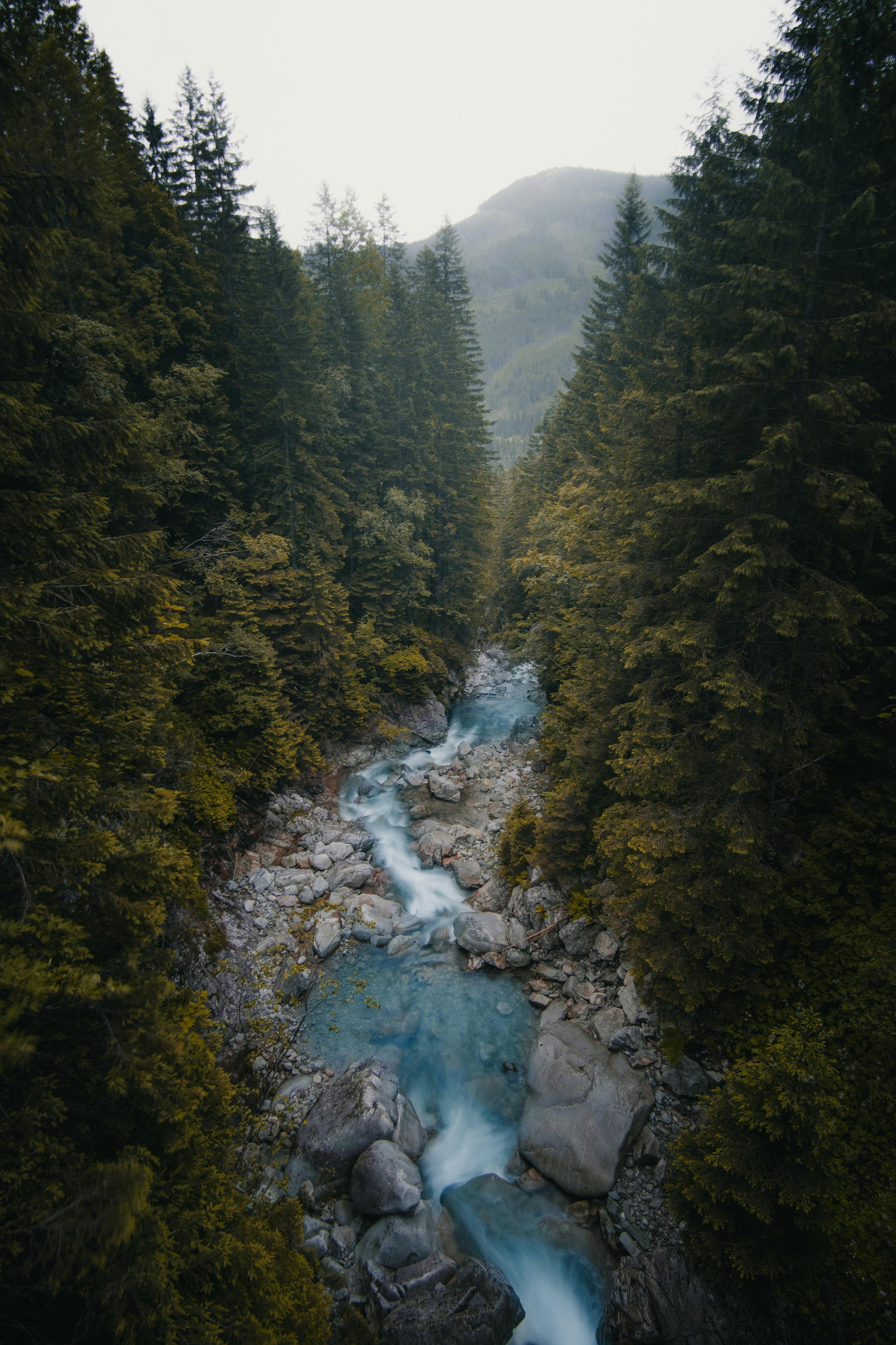 INFOHUB - Links aus Österreichs Flusswelten