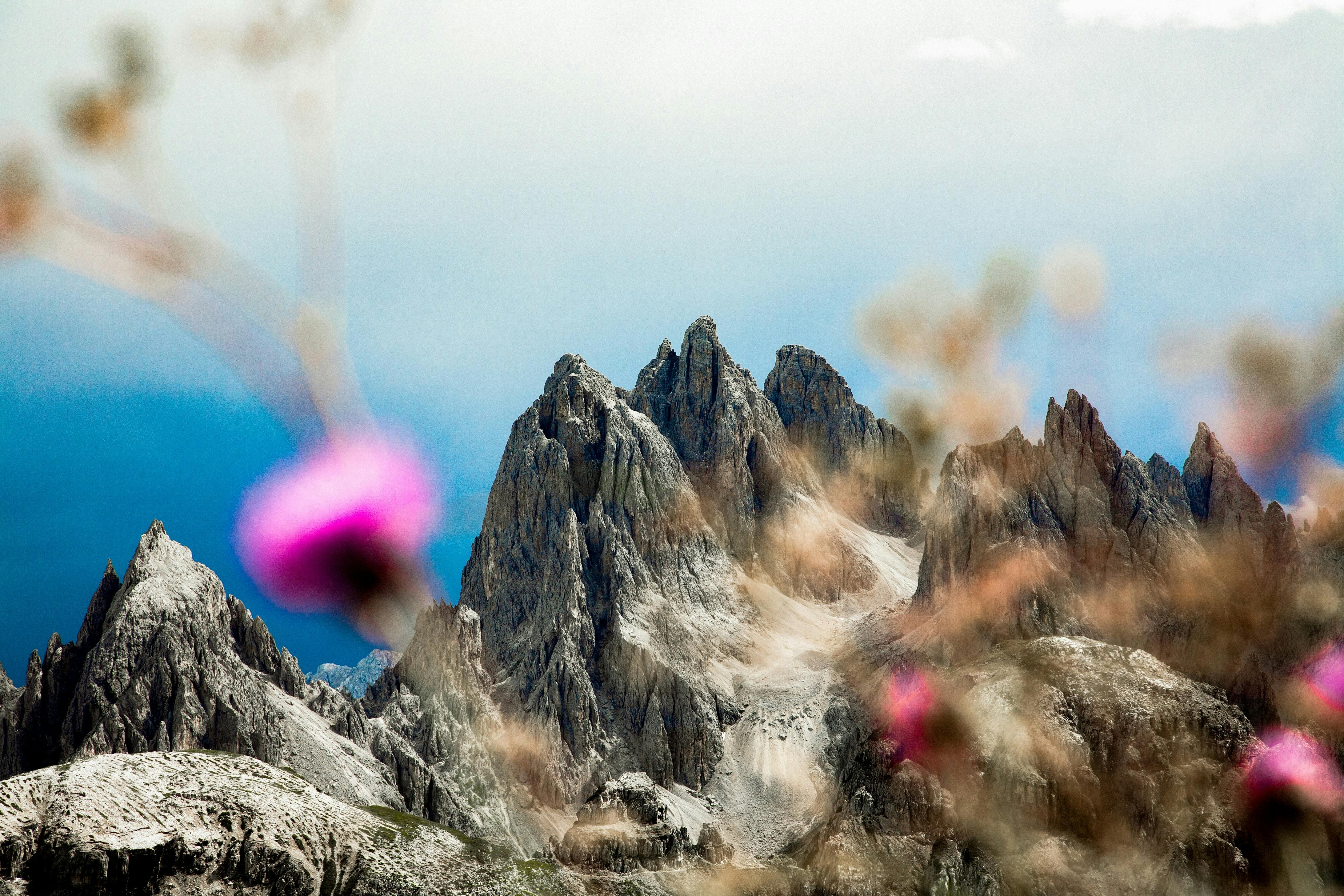 Raum Wald und Pflanzen #alpenkrise