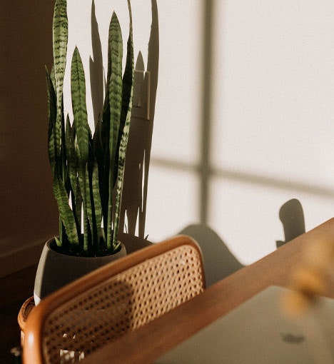 We know the market like no one else