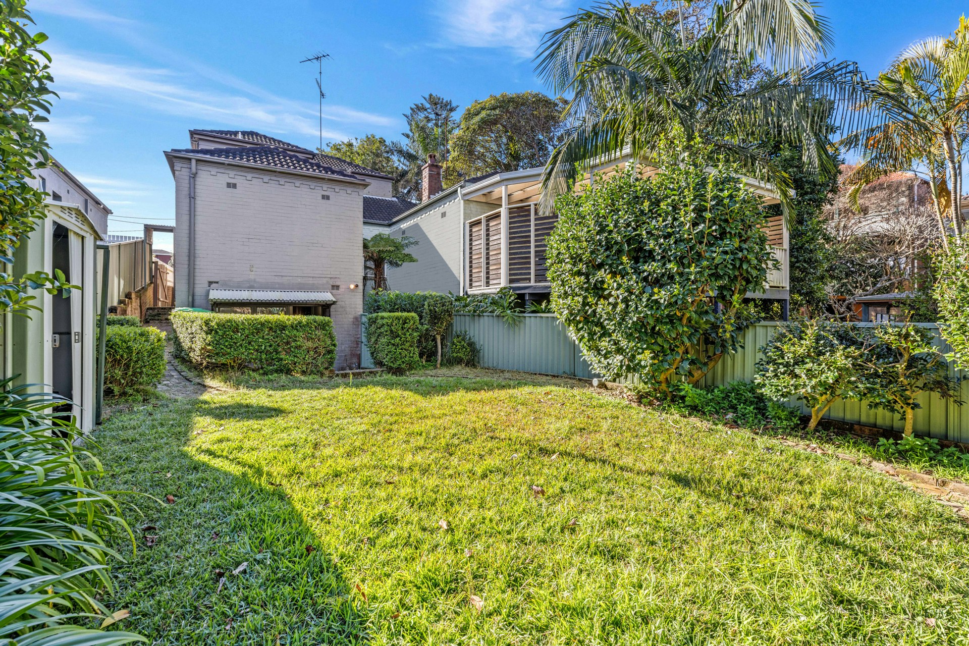 Image of backyard