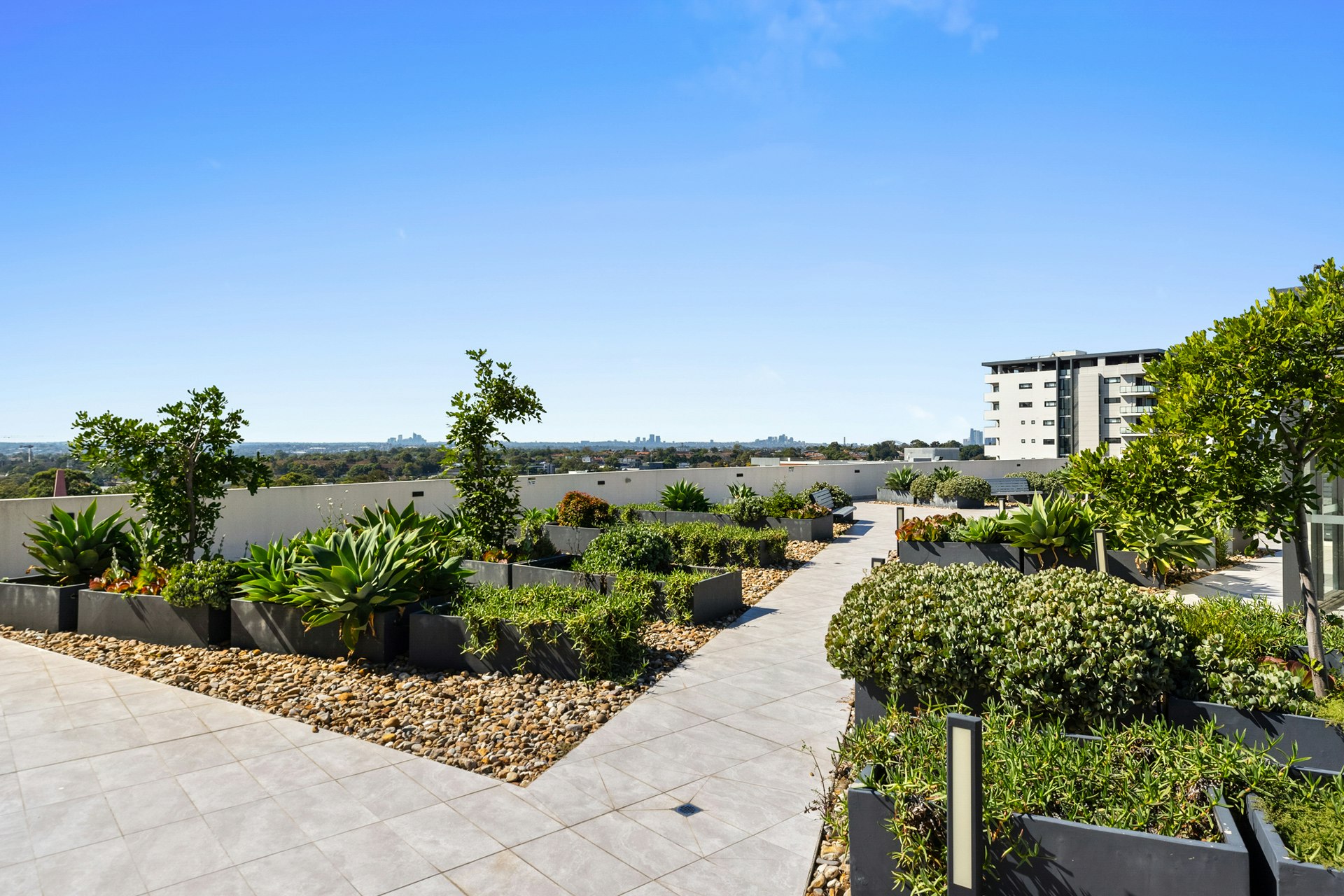 Image of path