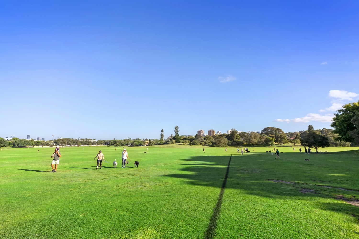 Image of field