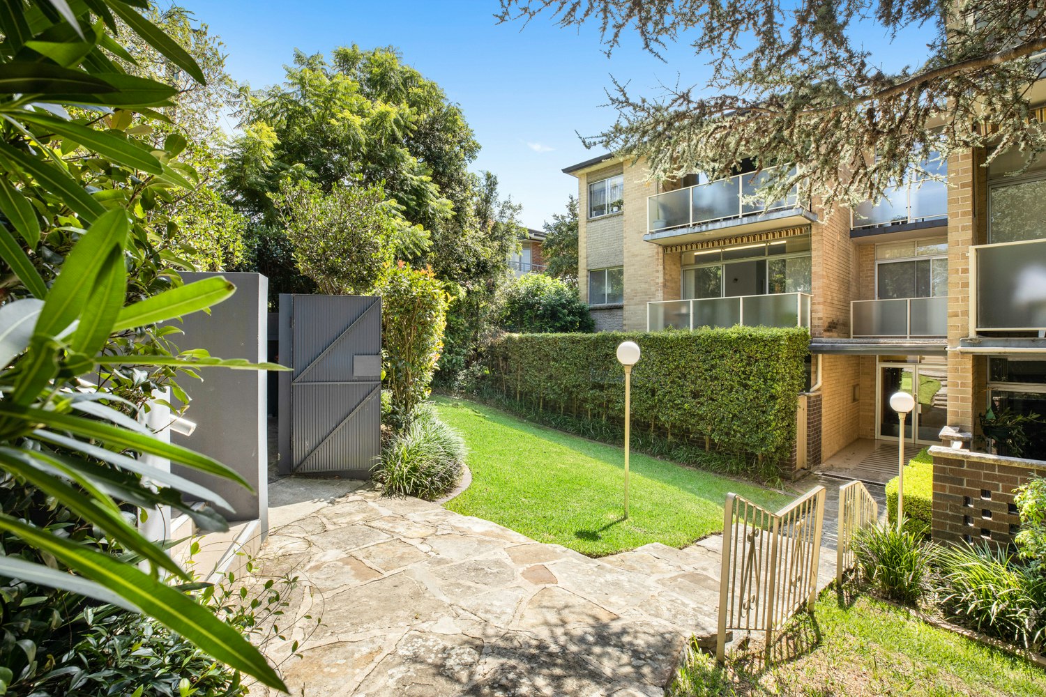Image of backyard