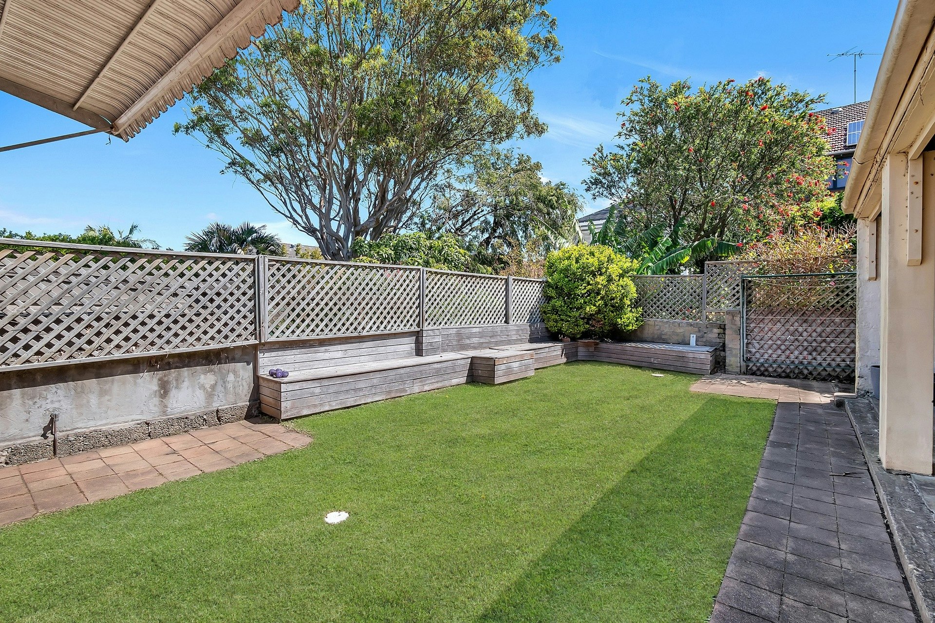Image of backyard