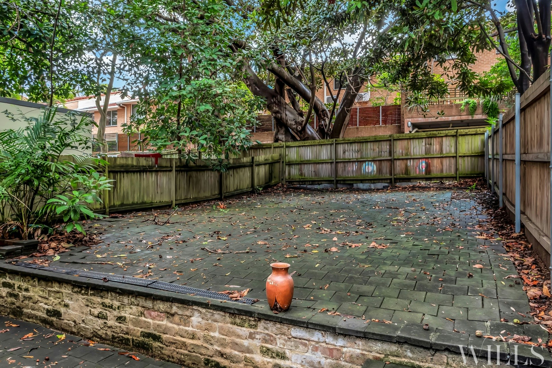 Image of backyard