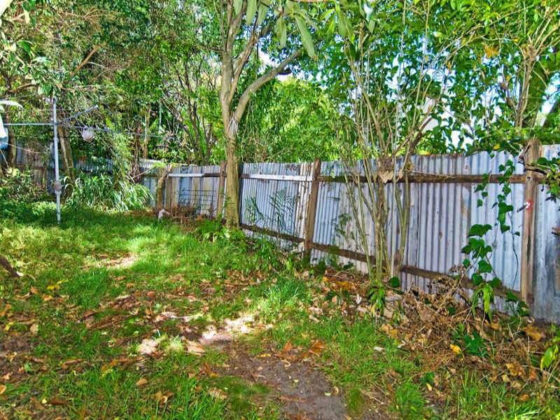 Image of backyard