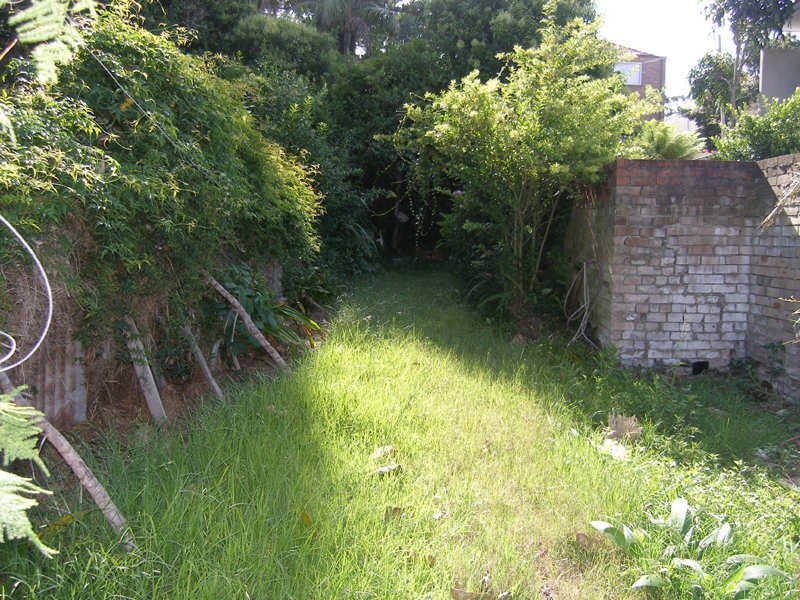 Image of backyard