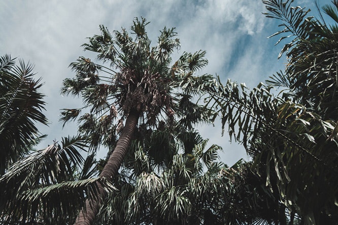Bondi Junction Shoots for the Sky