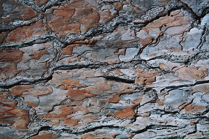 Rental-geddon - The Looming Crisis in Sydney's Eastern Suburbs Rental Market