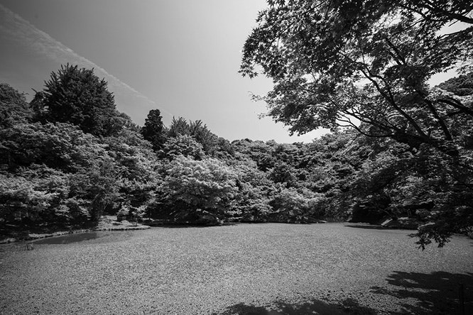 5 Ways to Celebrate Spring in Centennial Parklands