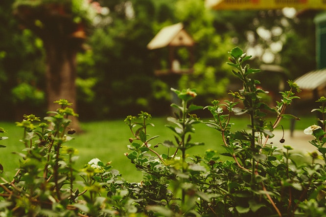 Why Spring is the best time to sell your property