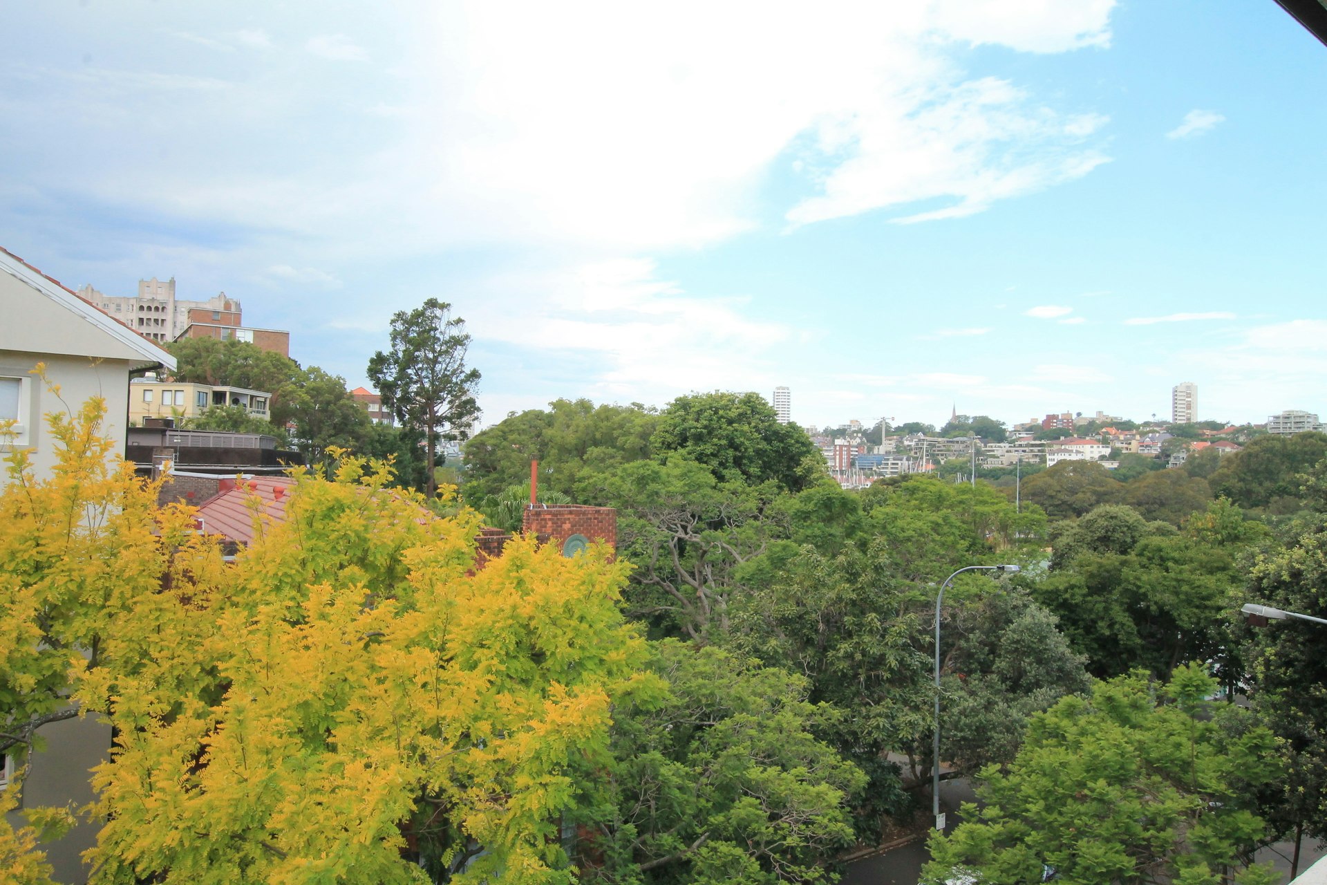 Image of vegetation