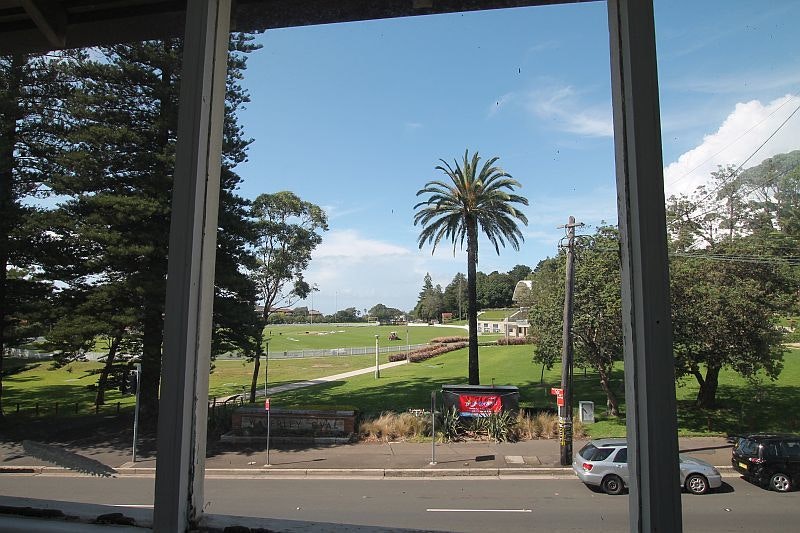 Image of grass