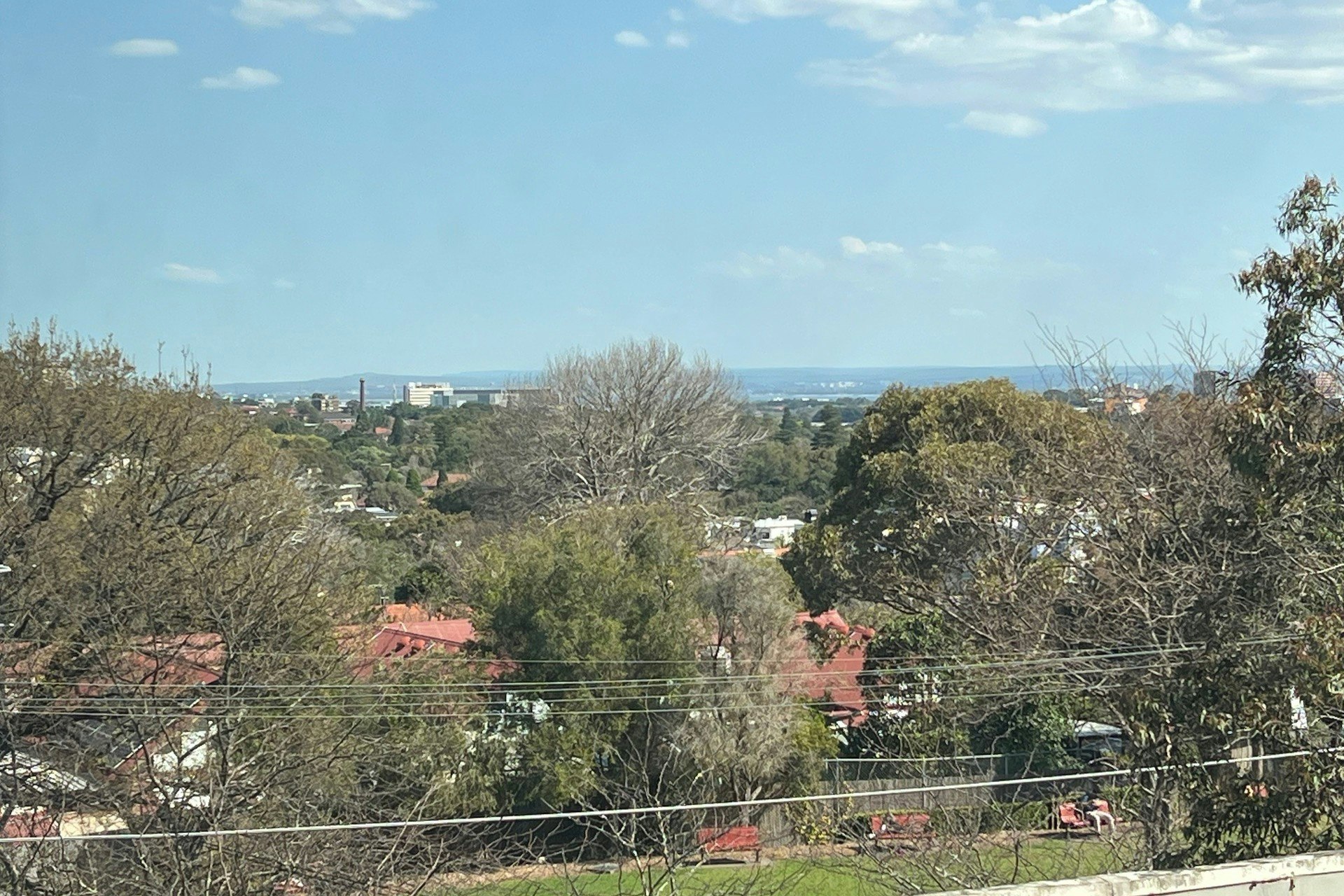 Image of vegetation