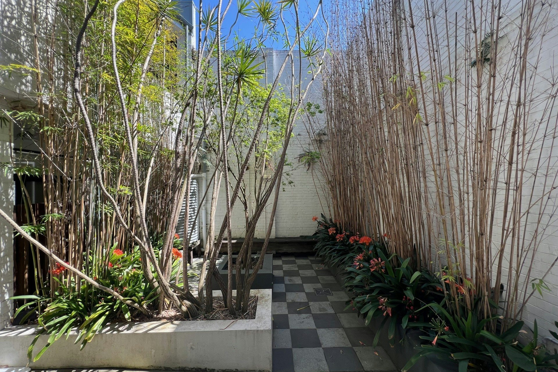Image of garden