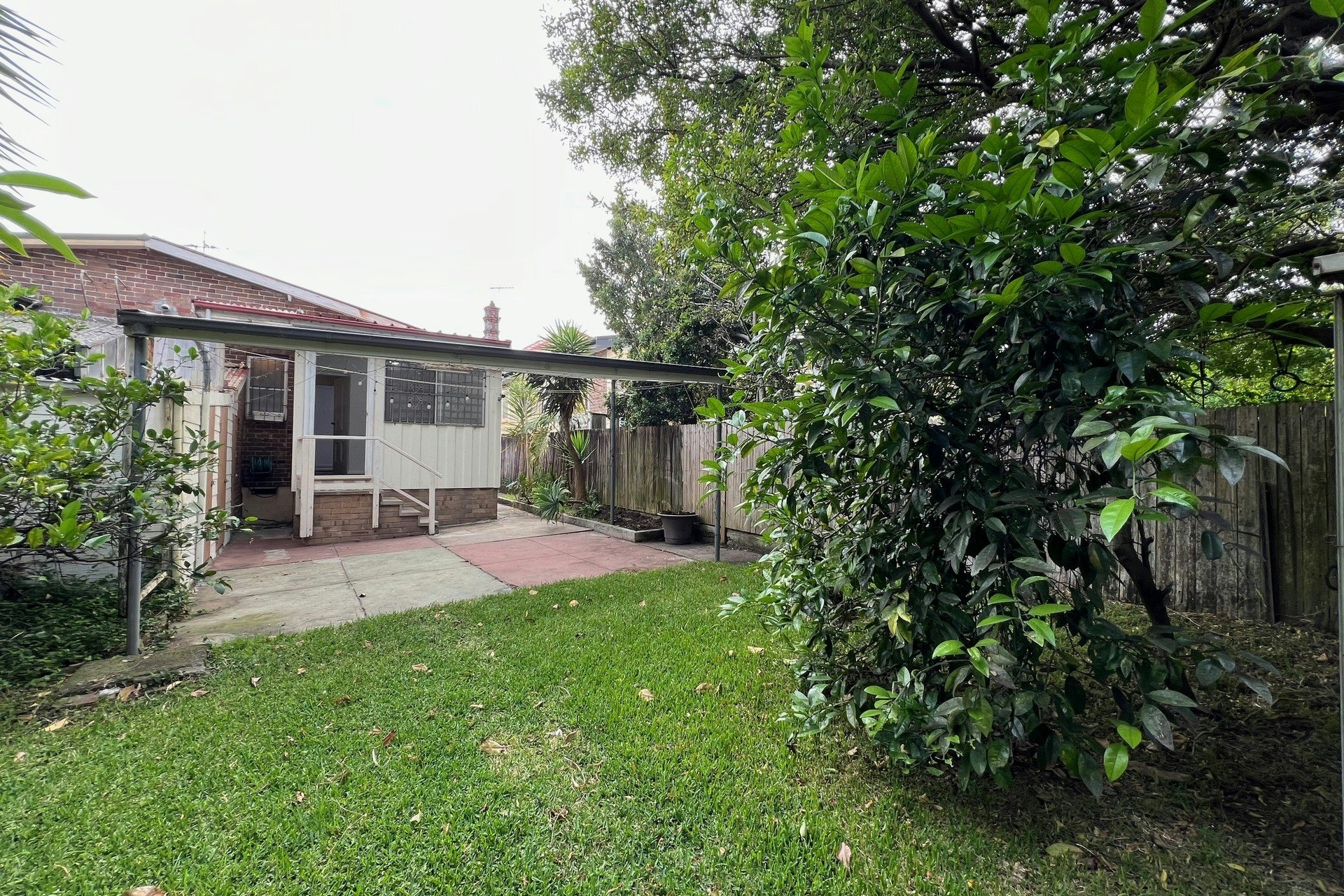 Image of backyard
