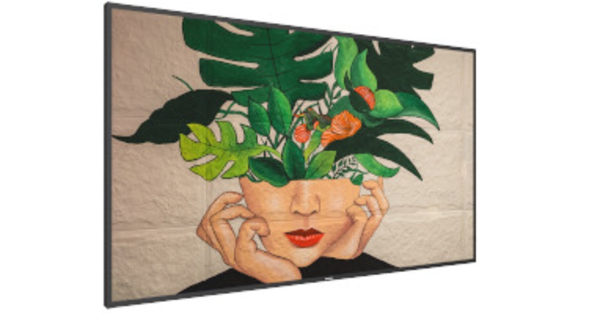 D-Line Image 5 image