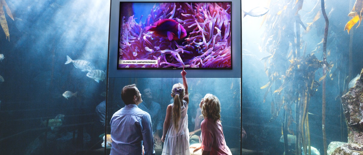 01 D-Line Public Venue Aquarium image