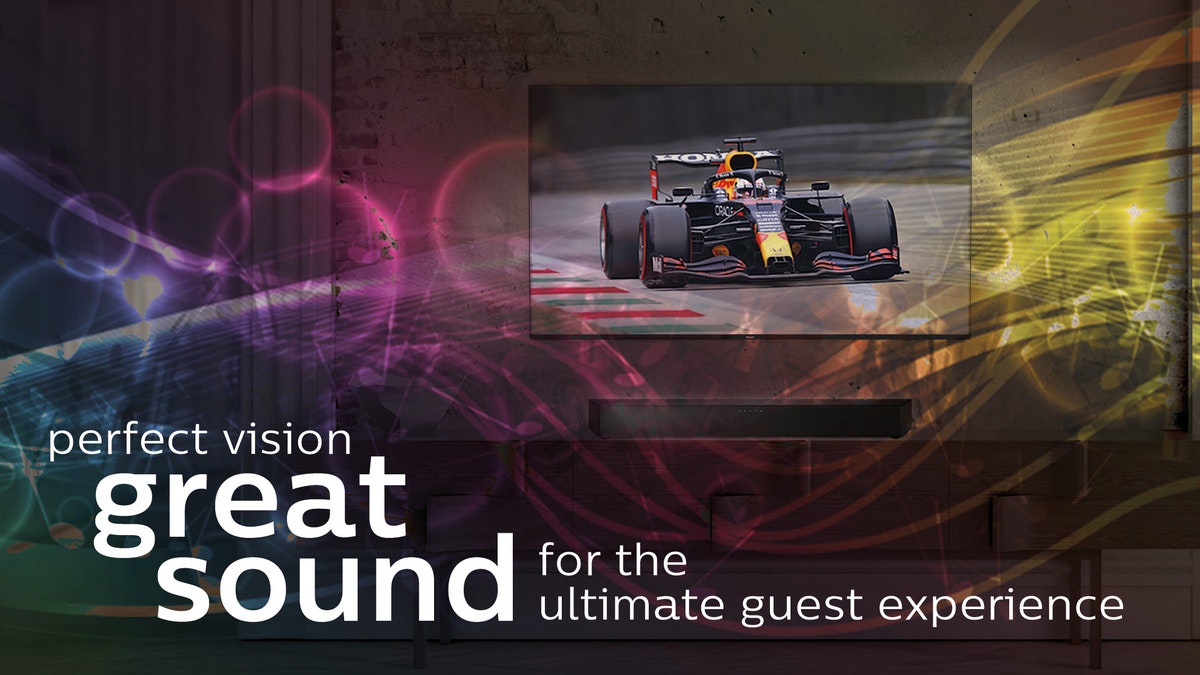Professional Soundbar_text image